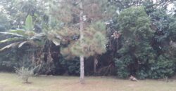 Terreno Real Park Terreno Real Park