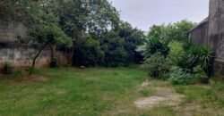 GUAIANAZES – SP