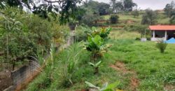 ATIBAIA – SP ATIBAIA – SP