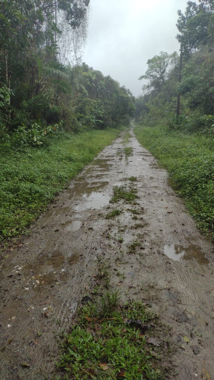 ITANHAÉM – SP