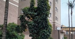 JARDIM SANTO ANTONIO – SP JARDIM SANTO ANTONIO – SP