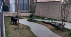 GUAIANASES – SP GUAIANASES – SP