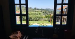 SÃO ROQUE – SP SÃO ROQUE – SP