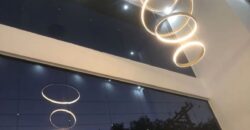 GUILHERMINA ESPERANÇA- SP