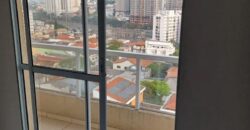 GUILHERMINA ESPERANÇA- SP